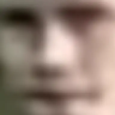 a very VERY low quality of dap's face